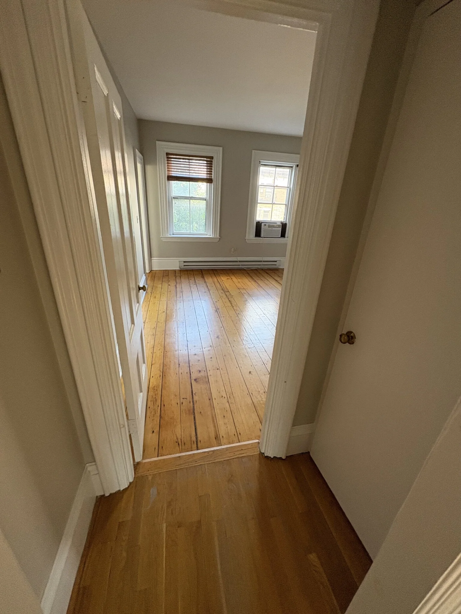 1 bed, 1 bath apartment for rent at 54 E Springfield St Unit 3, South End — photo 10 of 14