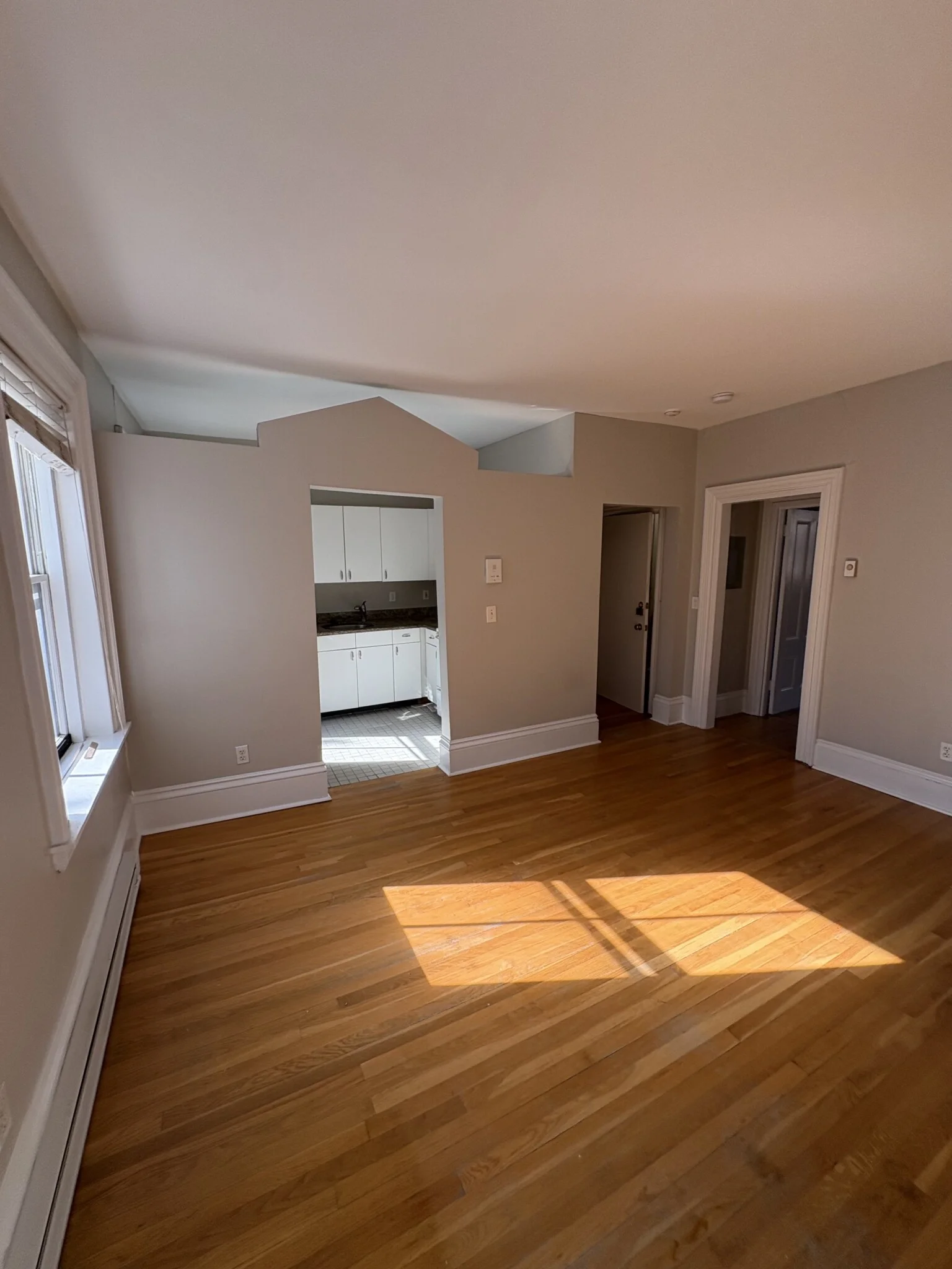 1 bed, 1 bath apartment for rent at 54 E Springfield St Unit 3, South End — photo 8 of 14