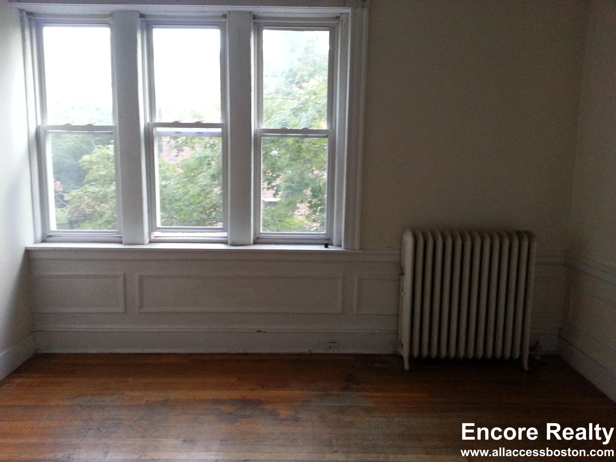 4 bed, 1 bath apartment for rent at 54 Egmont St Unit 99, North Brookline — photo 13 of 22