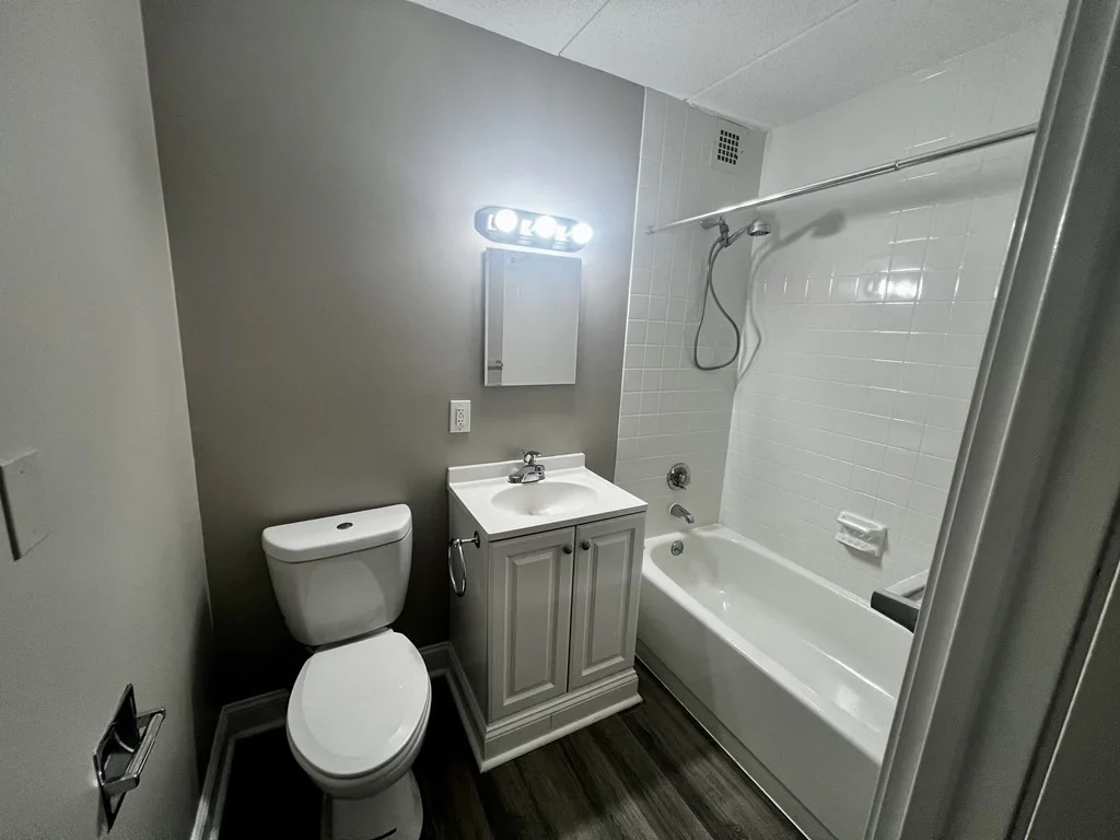 1 bed, 1 bath apartment for rent at 545 Centre St Unit 718, Jamaica Plain — photo 4 of 8
