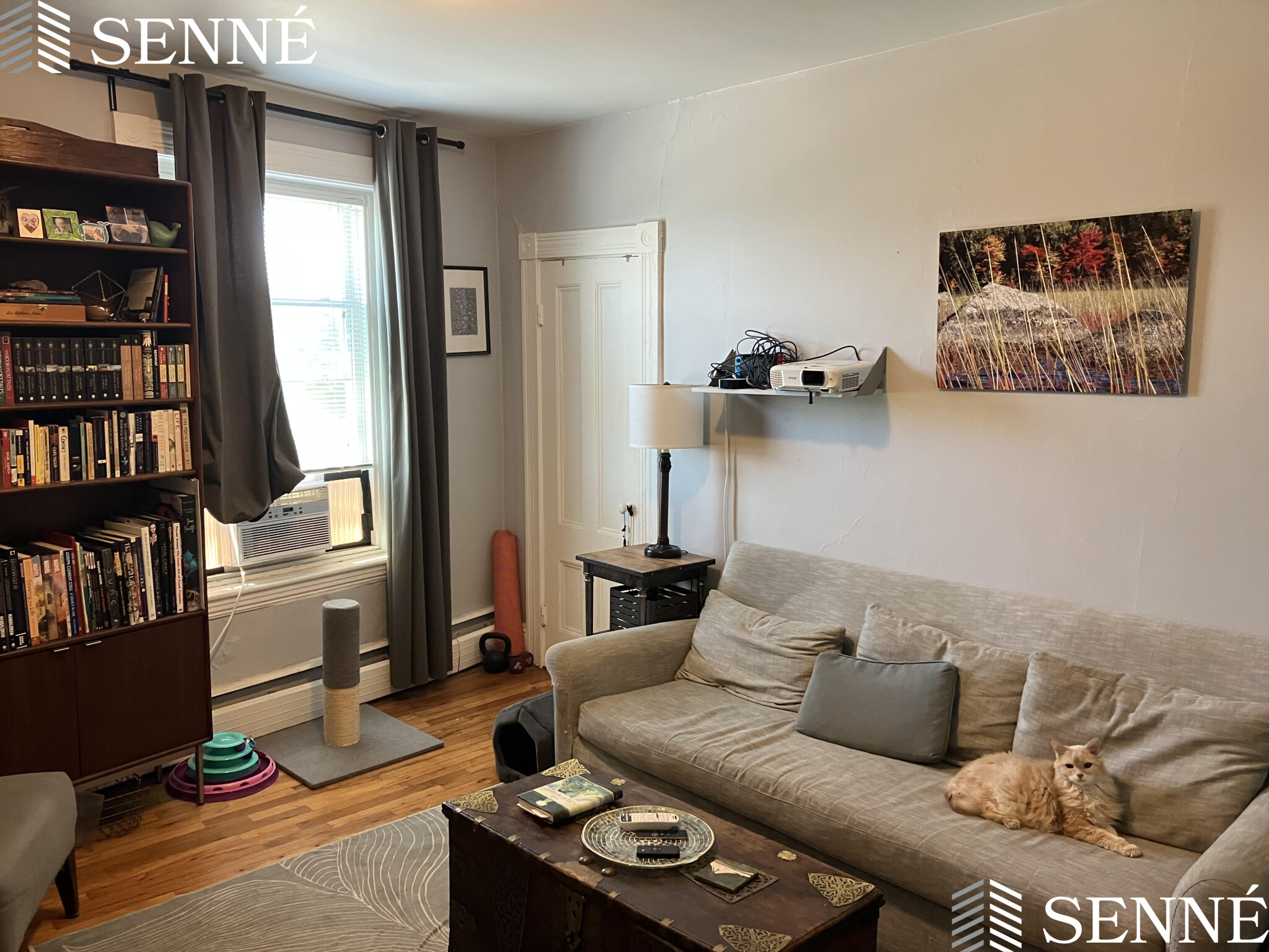 2 bed, 1 bath apartment for rent at 545 Somerville Ave Unit 3, Union Square — photo 2 of 9