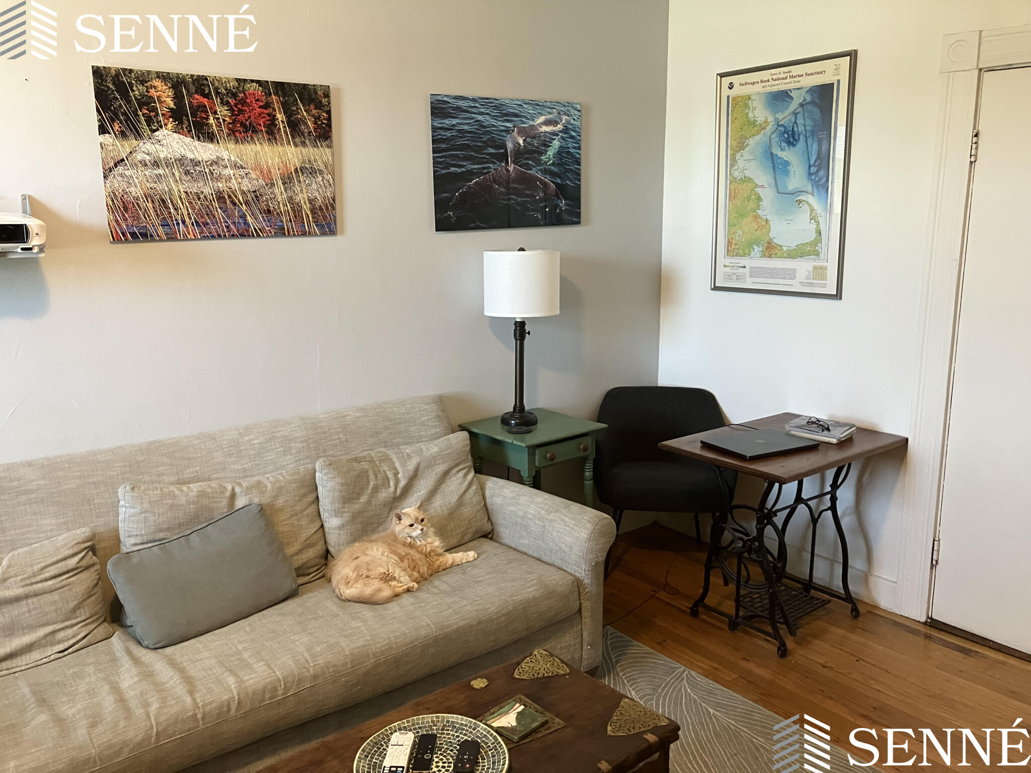 2 bed, 1 bath apartment for rent at 545 Somerville Ave Unit 3, Union Square — photo 3 of 9
