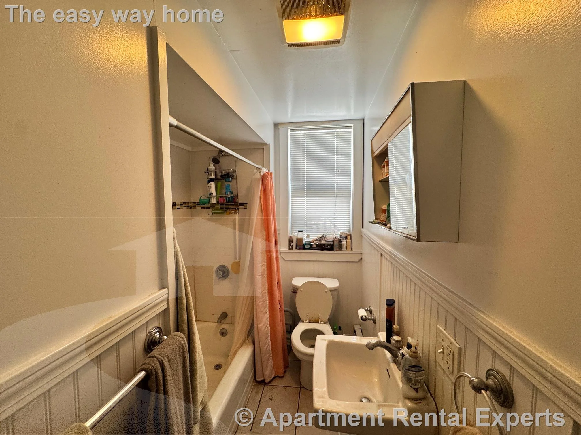 2 bed, 1 bath apartment for rent at 545 Somerville Ave Unit 6, Spring Hill — photo 9 of 11