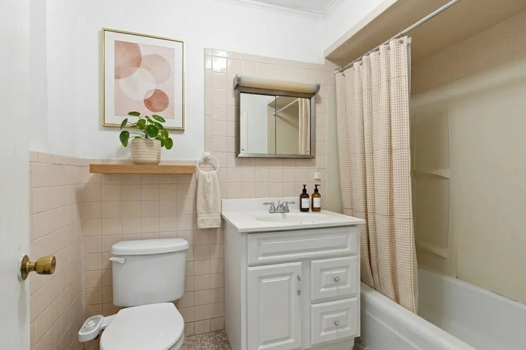 3 bed, 2 bath apartment for rent at 547 Broadway Unit 1, Ball Square — photo 5 of 14