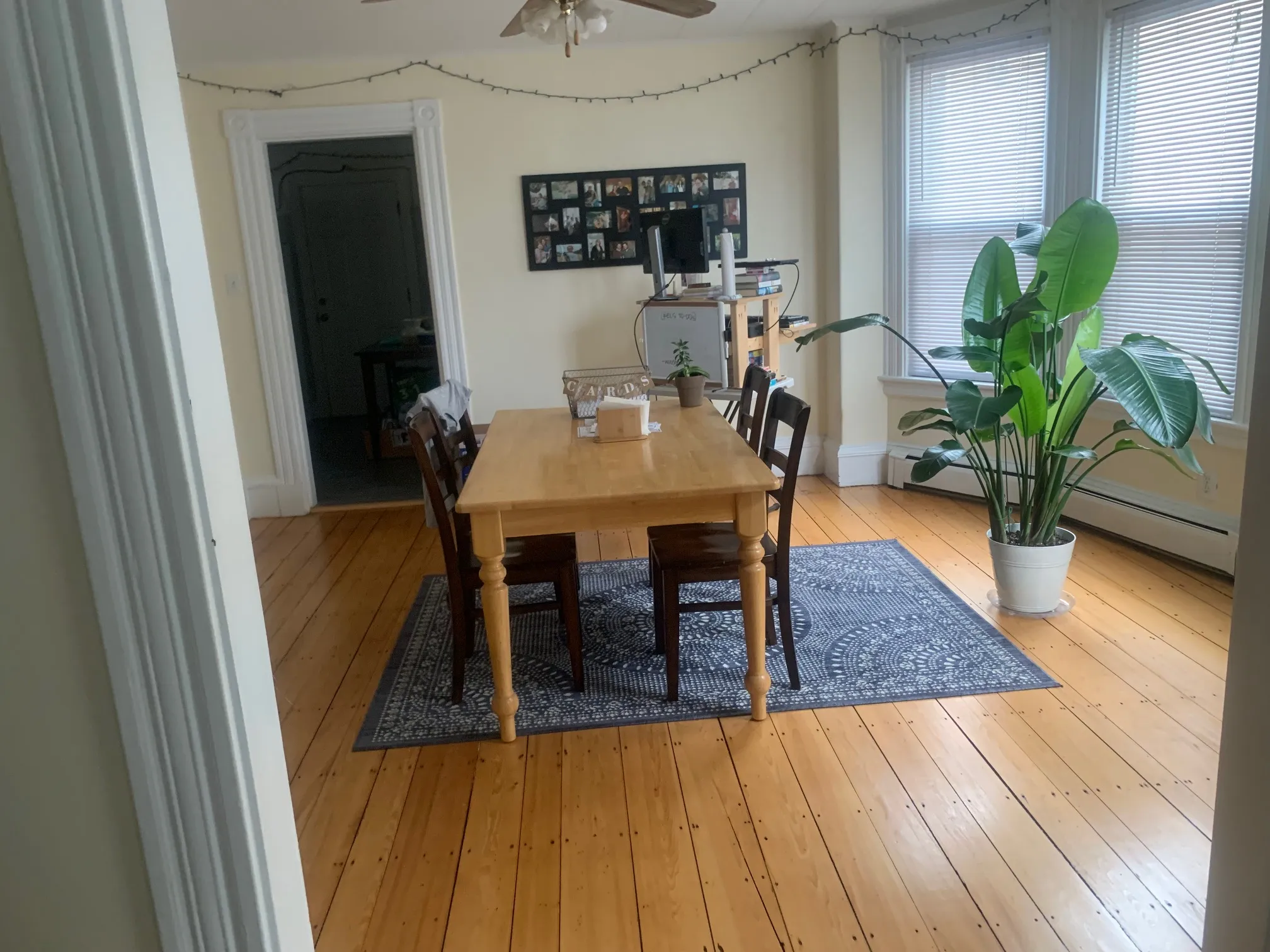 3 bed, 2 bath apartment for rent at 547 Broadway Unit 1B, South Medford