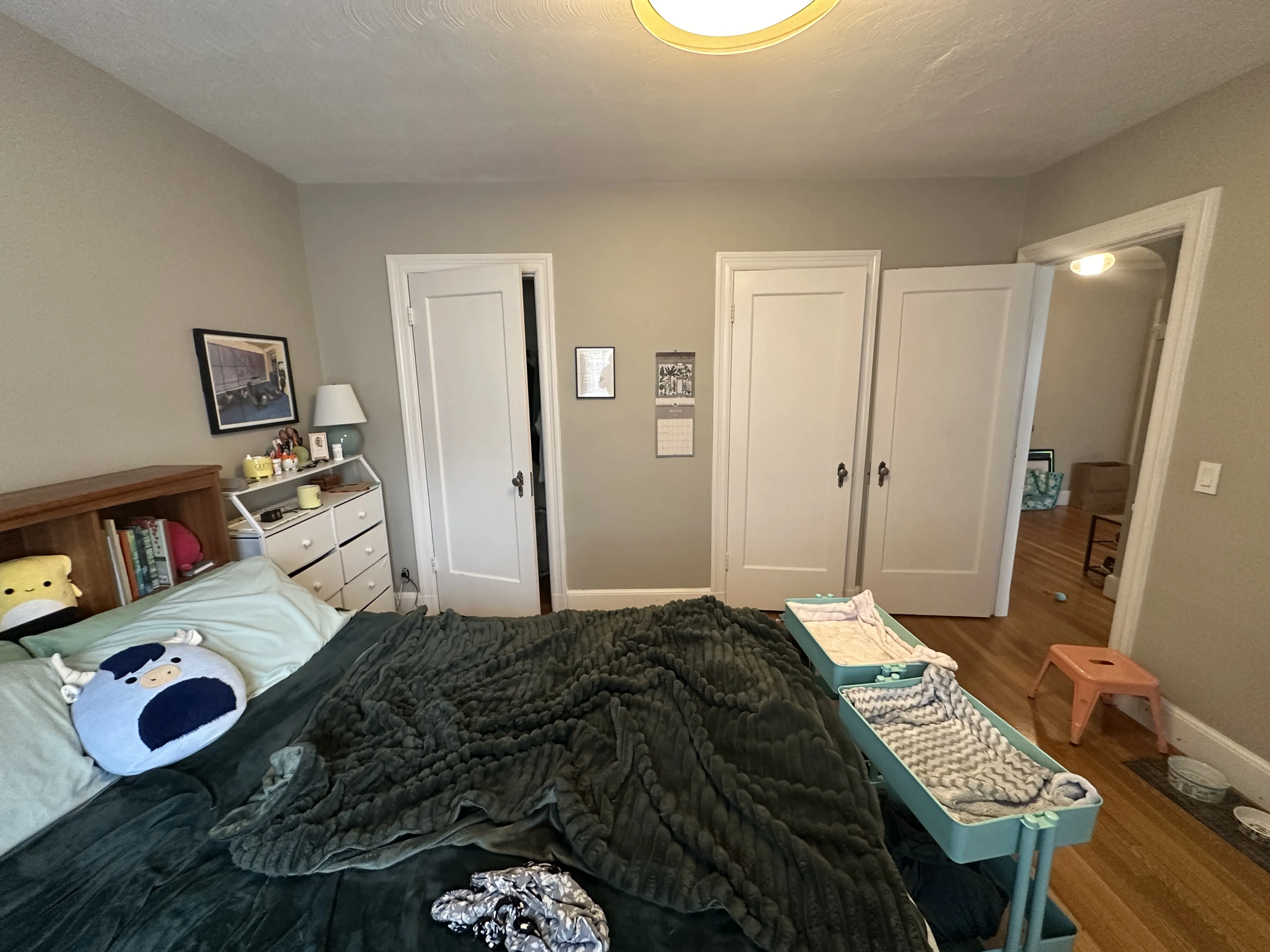 1 bed, 1 bath apartment for rent at 549 Centre St Unit 8, Newton Corner — photo 4 of 8