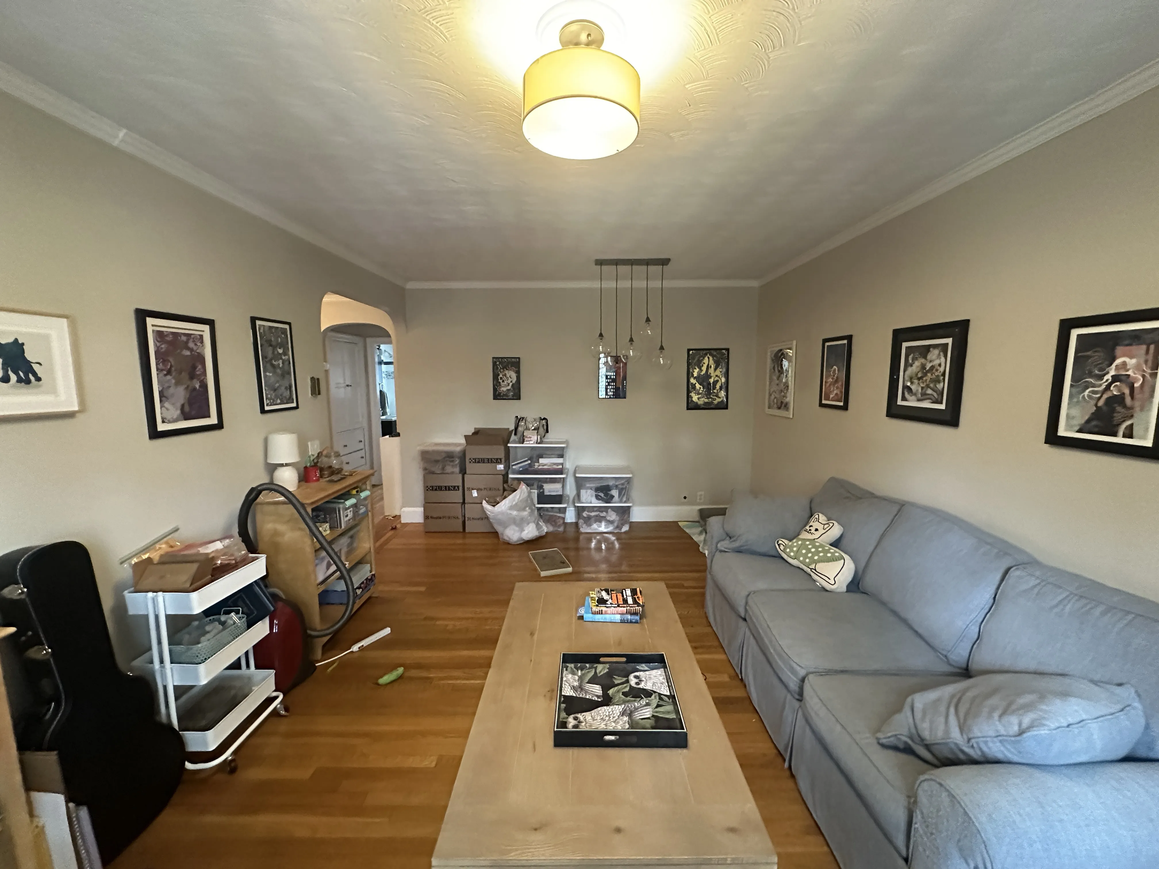 1 bed, 1 bath apartment for rent at 549 Centre St Unit 8, Newton Corner — photo 1 of 8