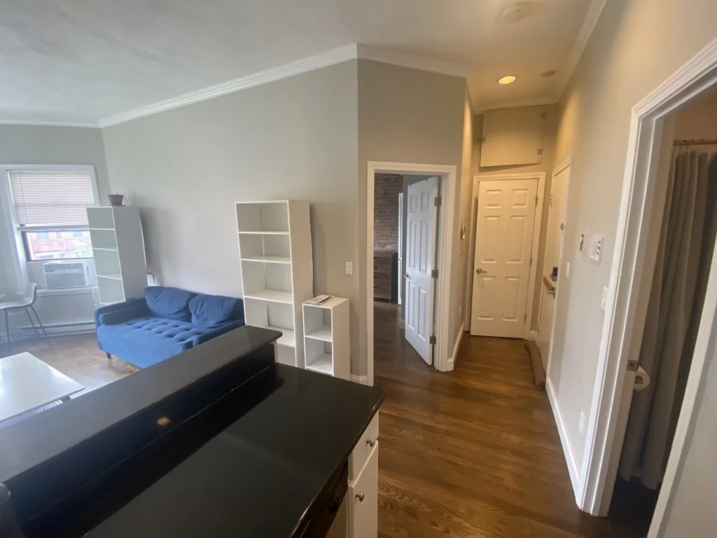 1 bed, 1 bath apartment for rent at 549 Columbus Ave Unit 3, South End — photo 3 of 10
