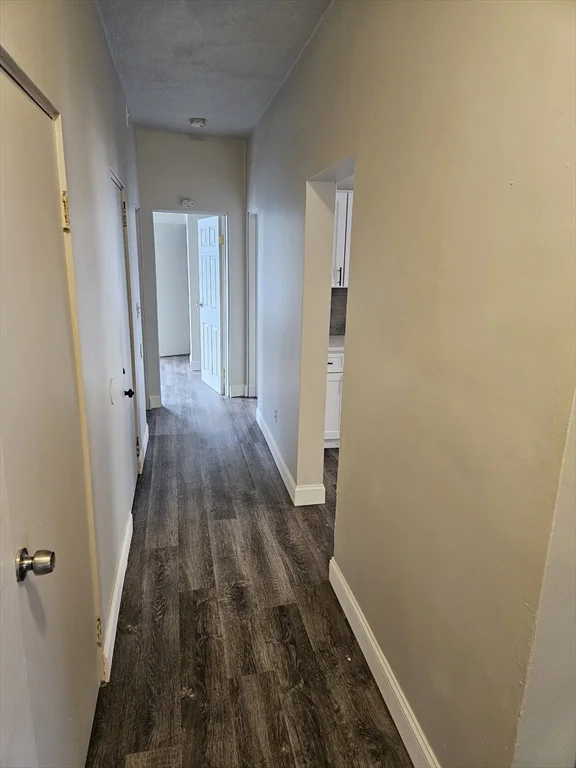 3 bed, 1 bath apartment for rent at 55 Bernard St Unit 1, Dorchester — photo 2 of 9