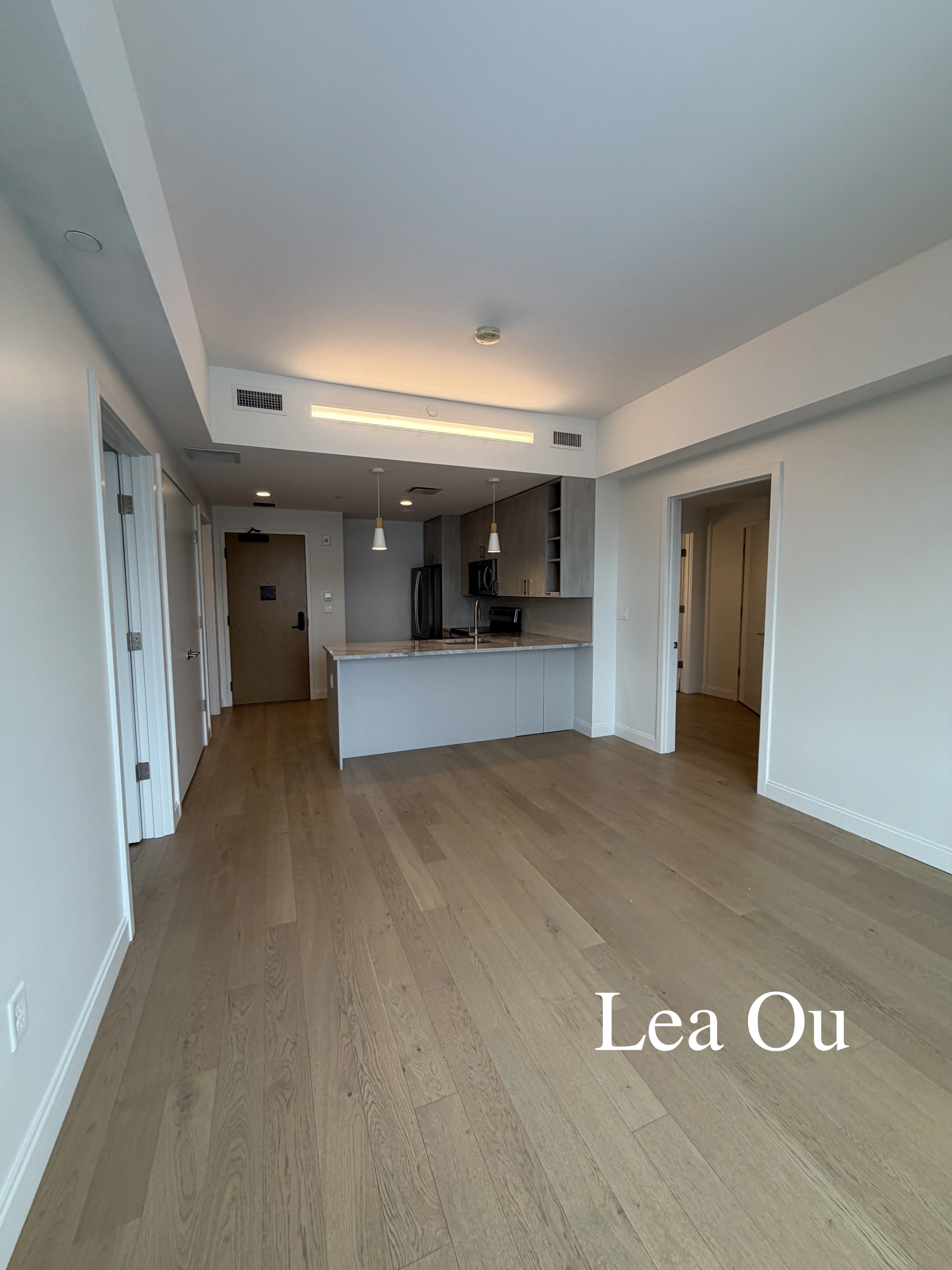 2 bed, 2 bath apartment for rent at 55 Brighton Ave Unit 415, Allston — photo 3 of 9