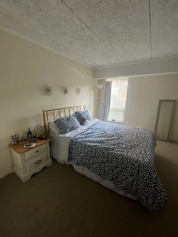 1 bed, 1 bath apartment for rent at 55 Broadlawn Park Unit 17, Chestnut Hill — photo 7 of 13