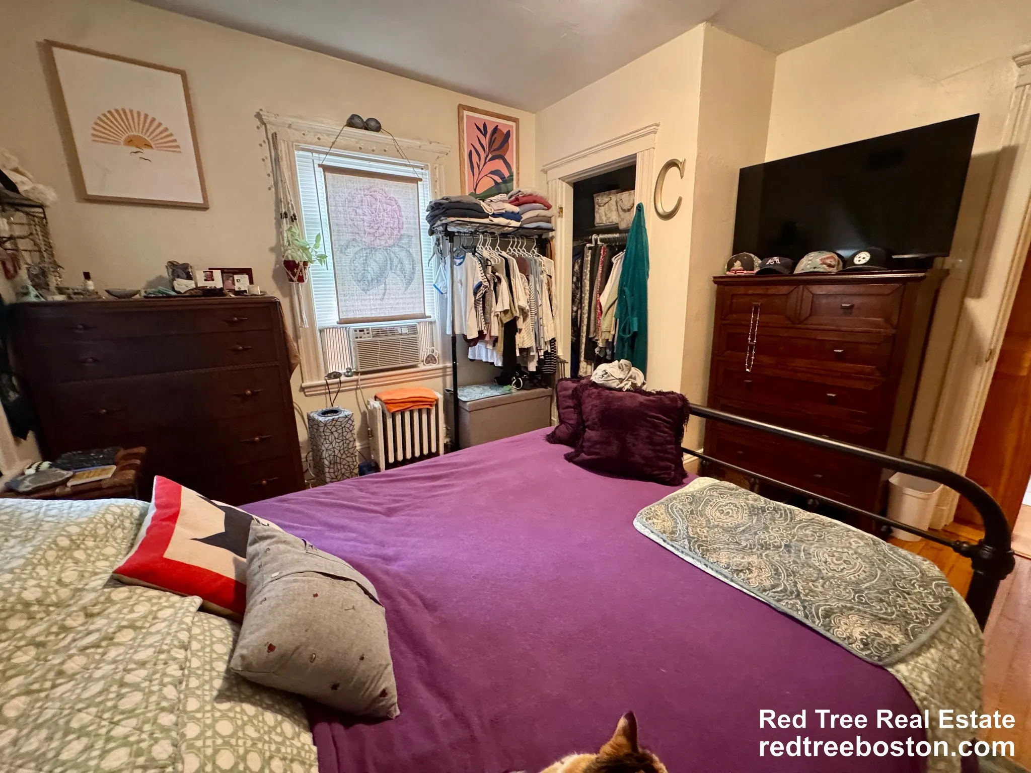 1 bed, 1 bath apartment for rent at 55 Brookley Rd Unit 1L, Jamaica Plain — photo 9 of 35
