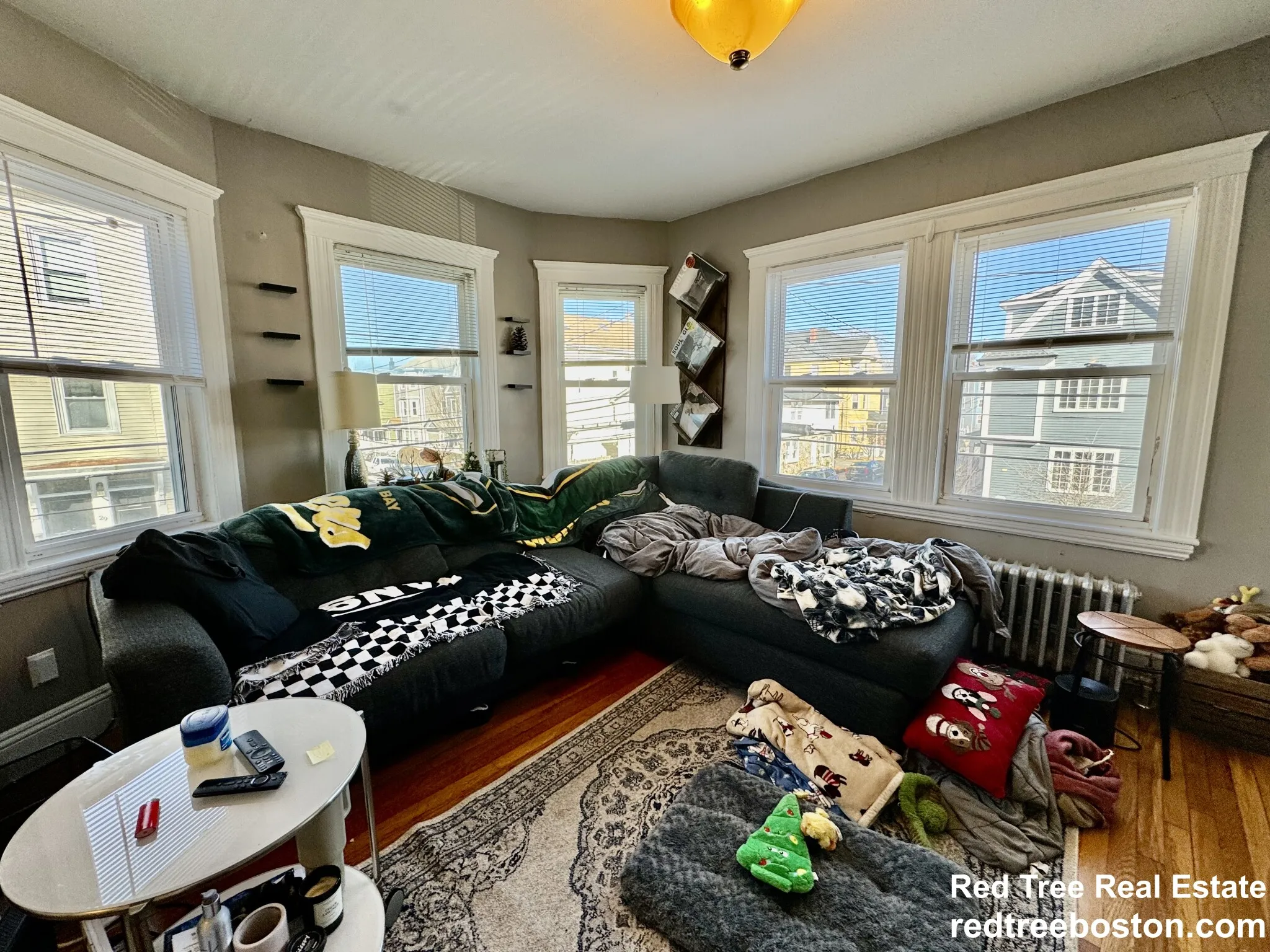 1 bed, 1 bath apartment for rent at 55 Brookley Rd Unit 2R, Jamaica Plain — photo 2 of 30