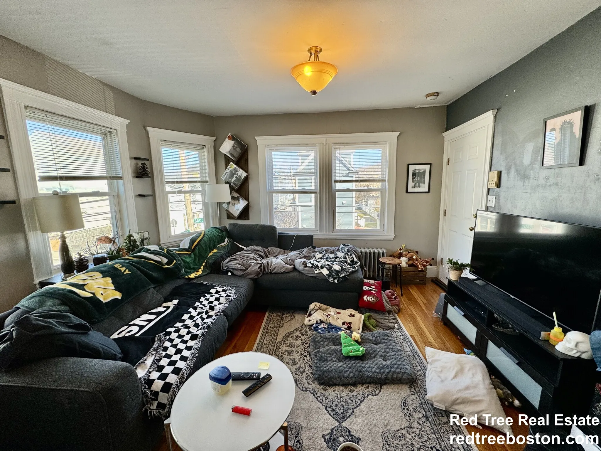 1 bed, 1 bath apartment for rent at 55 Brookley Rd Unit 2R, Jamaica Plain — photo 1 of 30