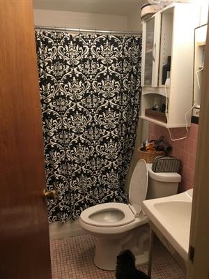 1 bed, 1 bath apartment for rent at 55 Cedar St Unit 1, Spring Hill — photo 6 of 7