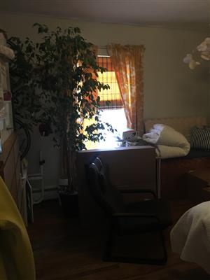 1 bed, 1 bath apartment for rent at 55 Cedar St Unit 1, Spring Hill — photo 5 of 7