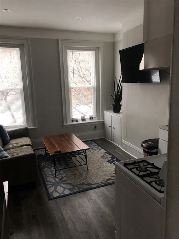 1 bed, 1 bath apartment for rent at 55 Coleman St Unit 2, Dorchester — photo 4 of 11