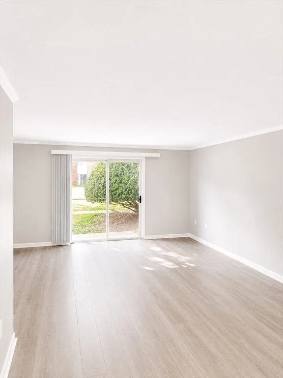 2 bed, 1 bath apartment for rent at 55 David Ter Unit 14, Norwood — photo 5 of 14