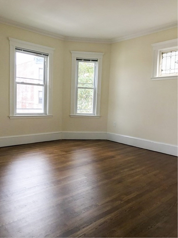 3 bed, 2 bath apartment for rent at 55 Iffley Rd Unit 1, Jamaica Plain — photo 5 of 10