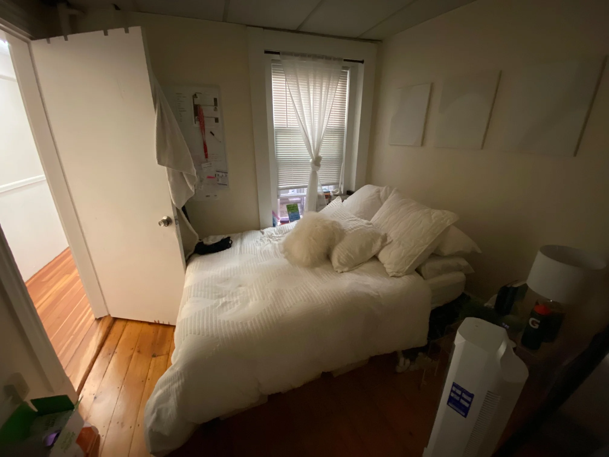 2 bed, 1 bath apartment for rent at 55 Joy St Unit 5, Beacon Hill — photo 14 of 22