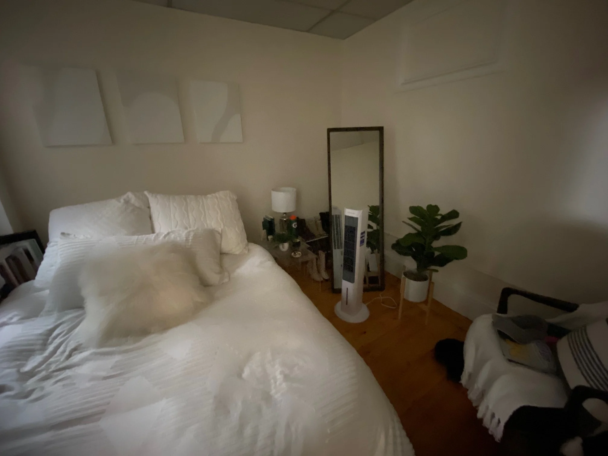 2 bed, 1 bath apartment for rent at 55 Joy St Unit 5, Beacon Hill — photo 13 of 22