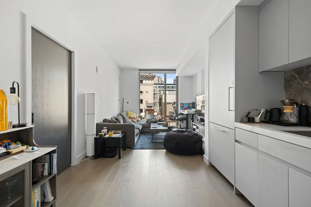 1 bed, 1 bath apartment for rent at 55 Lagrange St Unit 1008, Boston Downtown — photo 8 of 21