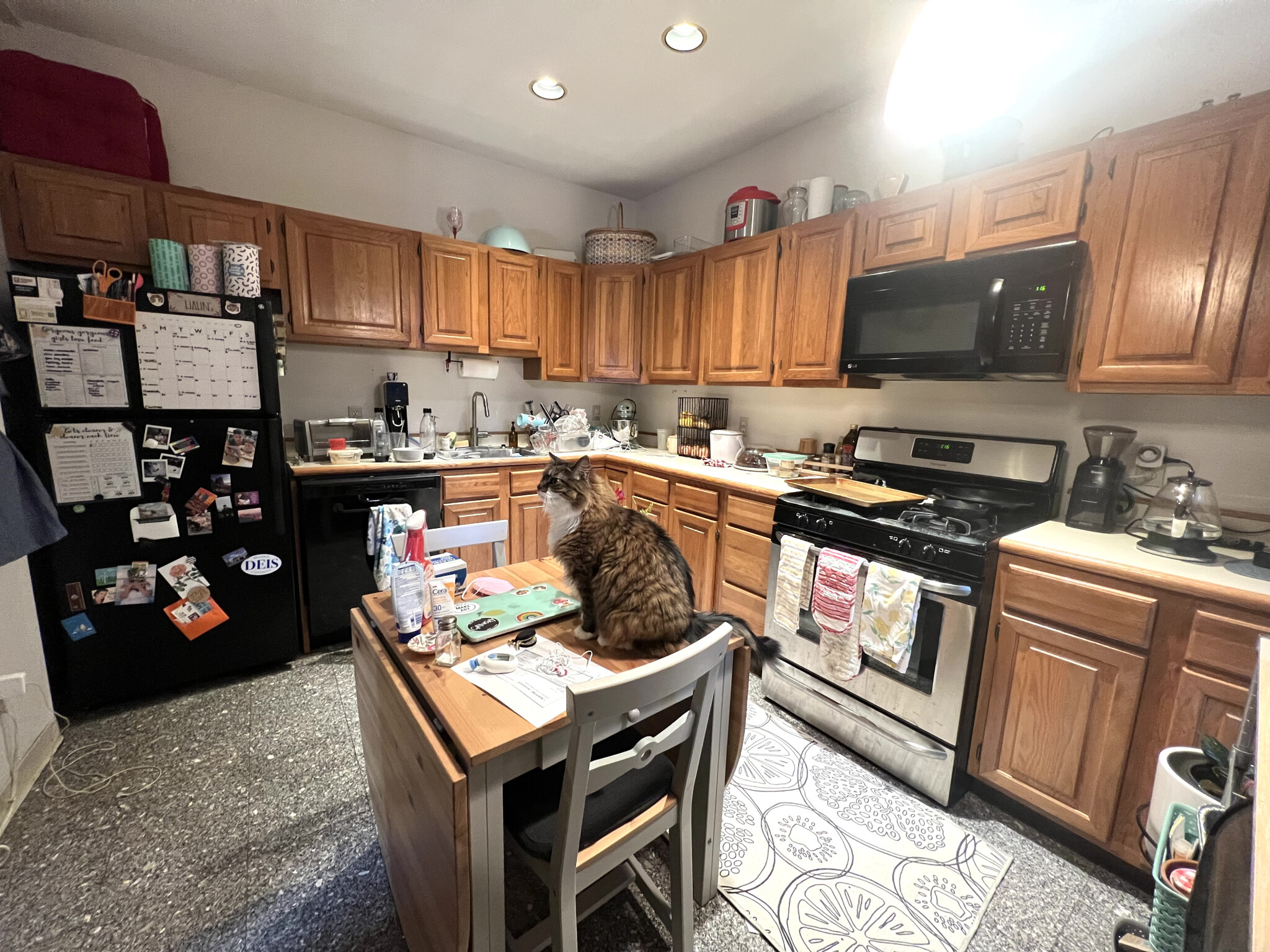 1 bed, 1 bath apartment for rent at 55 Lanark Rd Unit 2, Brighton — photo 27 of 35