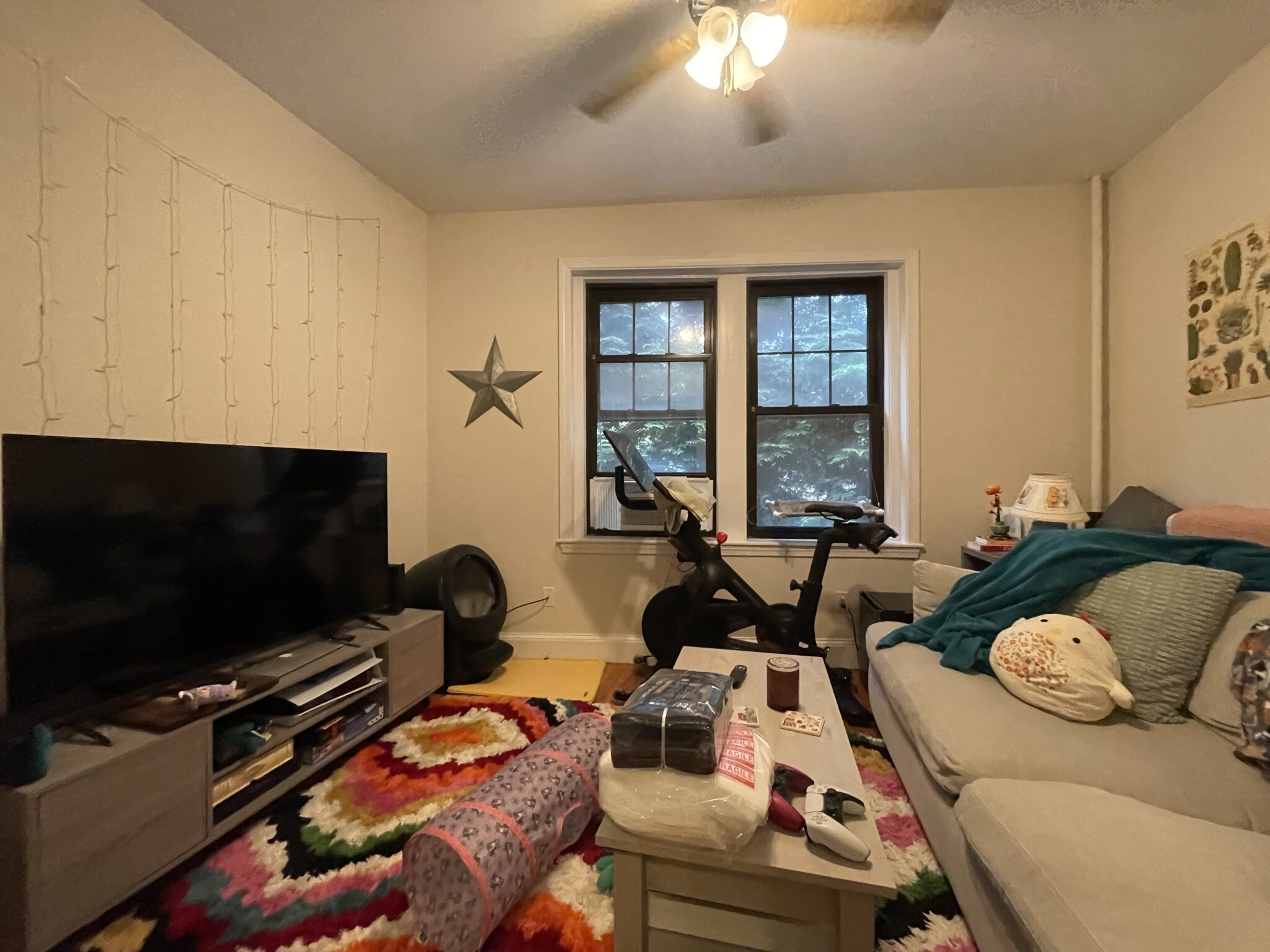 1 bed, 1 bath apartment for rent at 55 Lanark Rd Unit 2, Brighton — photo 5 of 35
