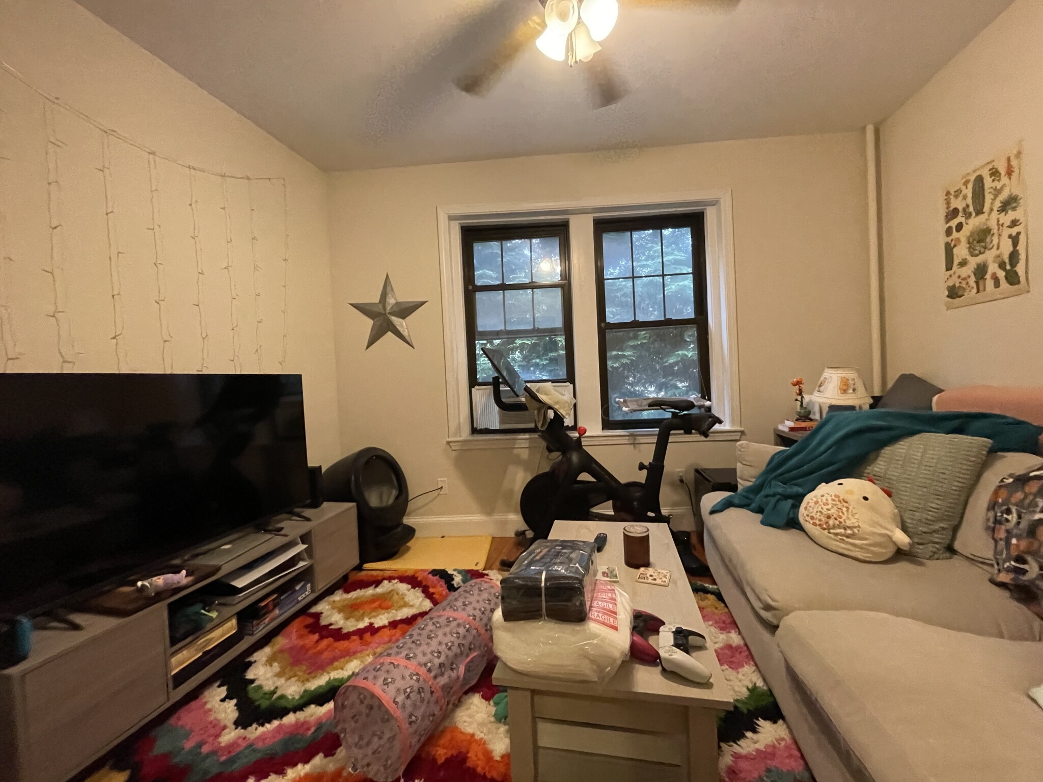 1 bed, 1 bath apartment for rent at 55 Lanark Rd Unit 2, Brighton — photo 9 of 35