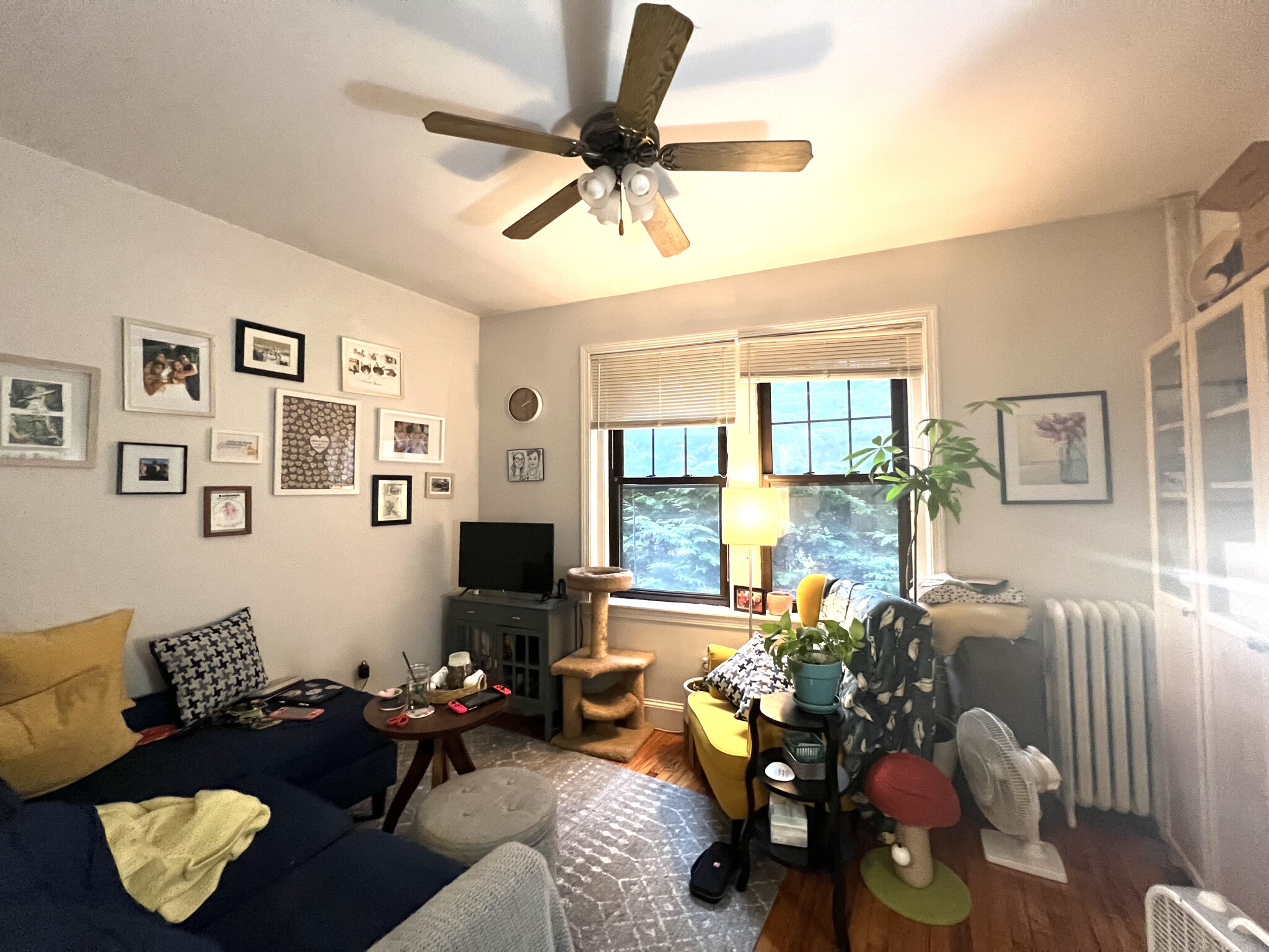 1 bed, 1 bath apartment for rent at 55 Lanark Rd Unit 2, Brighton — photo 29 of 35