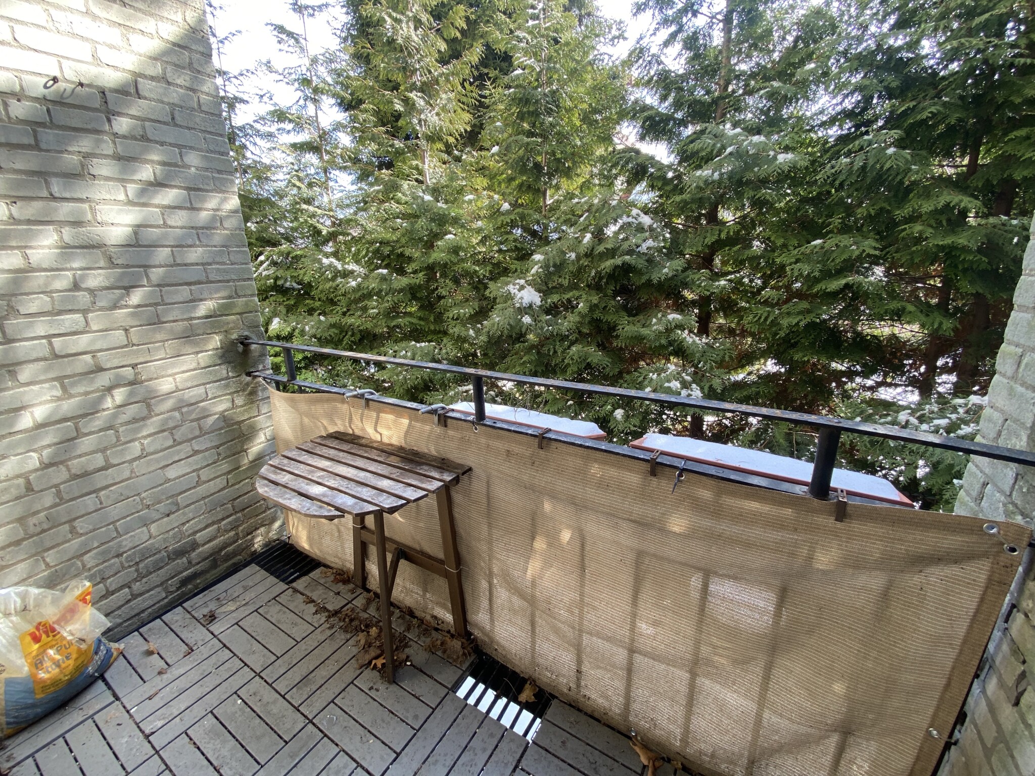 1 bed, 1 bath apartment for rent at 55 Lanark Rd Unit 2, Brighton — photo 17 of 35