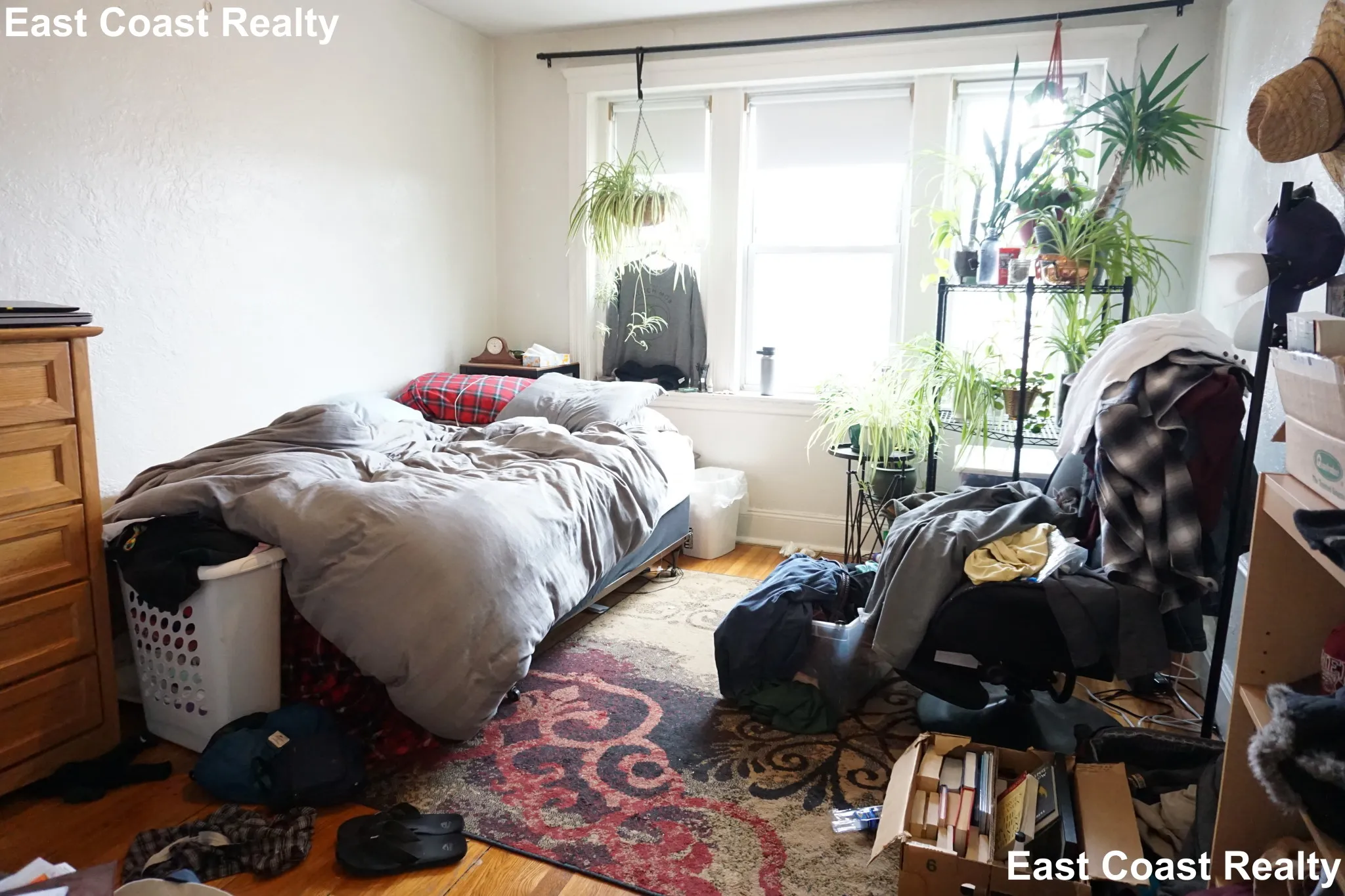 1 bed, 1 bath apartment for rent at 55 Linden St Unit 12, Allston — photo 2 of 14