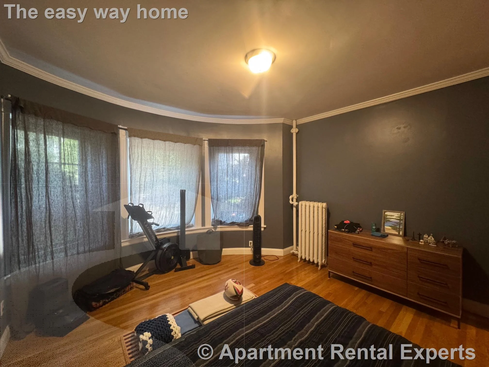 1 bed, 1 bath apartment for rent at 55 Magazine St Unit 11, Cambridgeport — photo 8 of 13