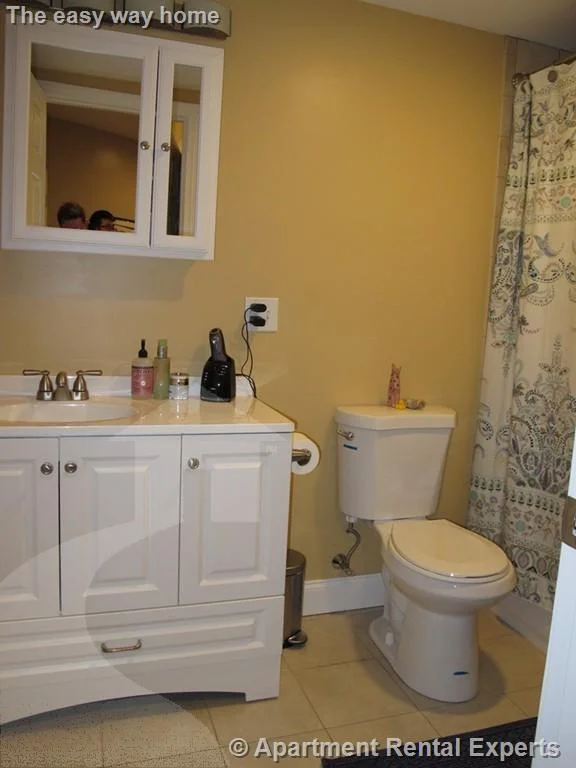 2 bed, 1 bath apartment for rent at 55 Magazine St Unit 21, Cambridgeport — photo 8 of 10