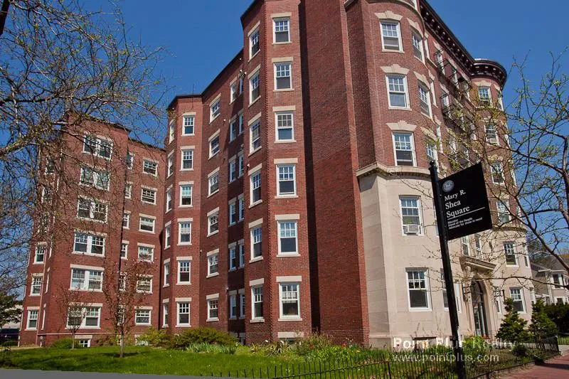 1 bed, 1 bath apartment for rent at 55 Magazine St Unit 29, Cambridgeport — photo 12 of 20