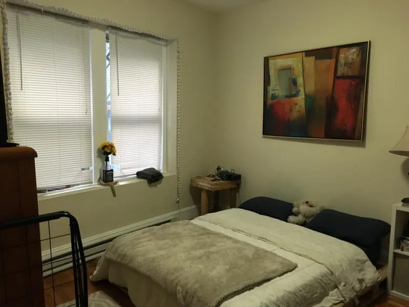 Studio bed, 1 bath apartment for rent at 55 Park Dr Unit 4, Fenway — photo 5 of 7