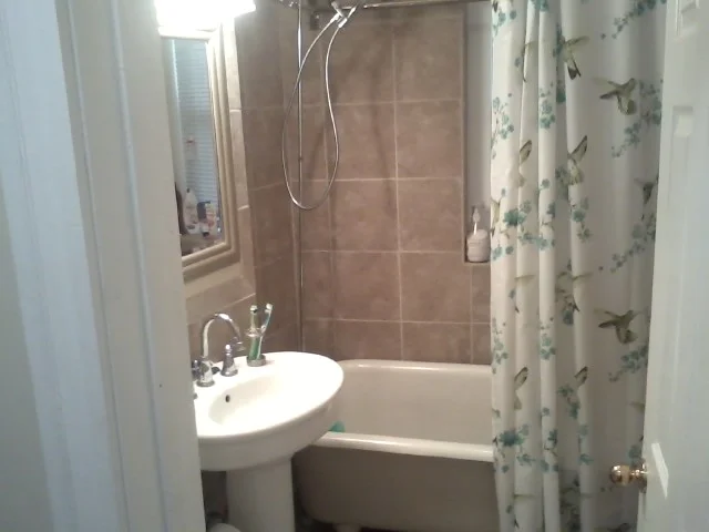 Studio bed, 1 bath apartment for rent at 55 Park Dr Unit 9, Fenway — photo 14 of 15