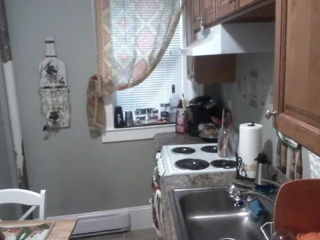 Studio bed, 1 bath apartment for rent at 55 Park Dr Unit 9, Fenway — photo 12 of 15