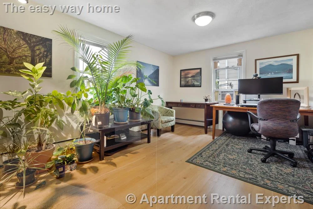 3 bed, 1 bath apartment for rent at 55 Waterhouse St, Teele Square — photo 5 of 30