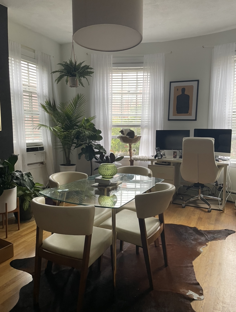 1 bed, 1 bath apartment for rent at 550 Tremont St Unit 3, South End — photo 2 of 10