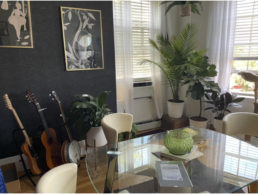 1 bed, 1 bath apartment for rent at 550 Tremont St Unit 3, South End — photo 4 of 10