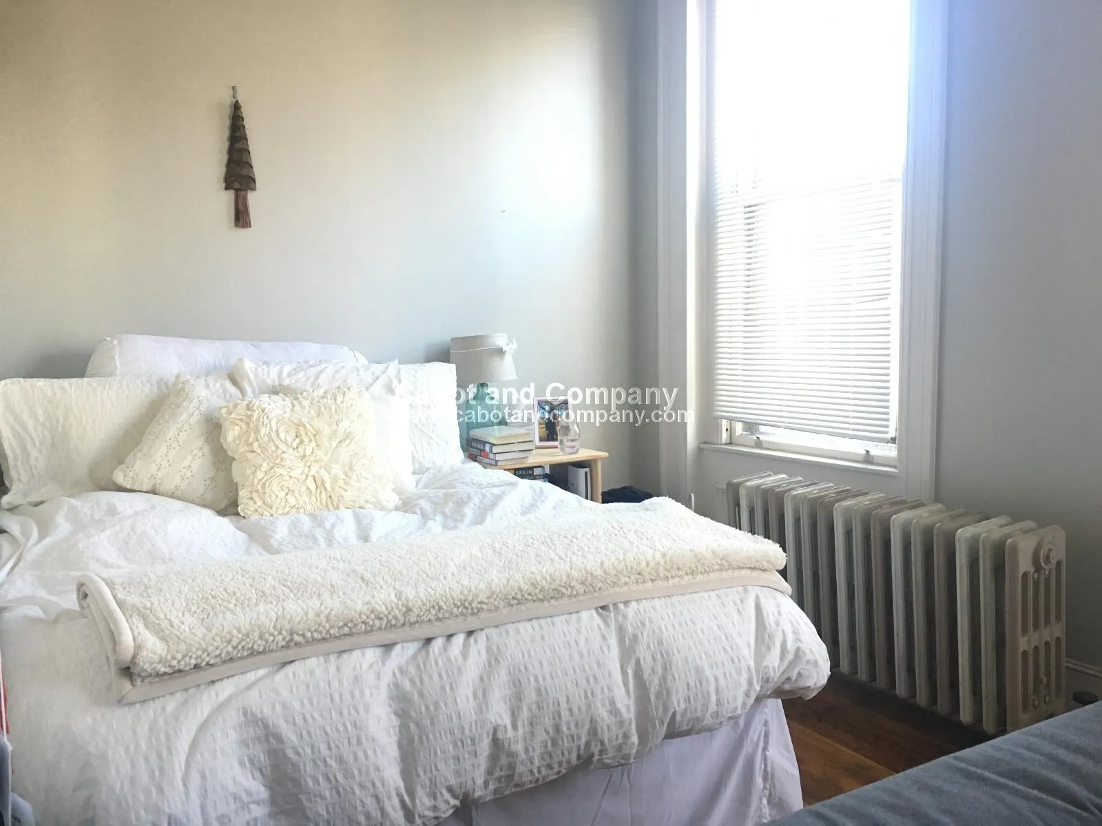 Studio bed, 1 bath apartment for rent at 558 Columbus Ave Unit 2F, South End — photo 6 of 7