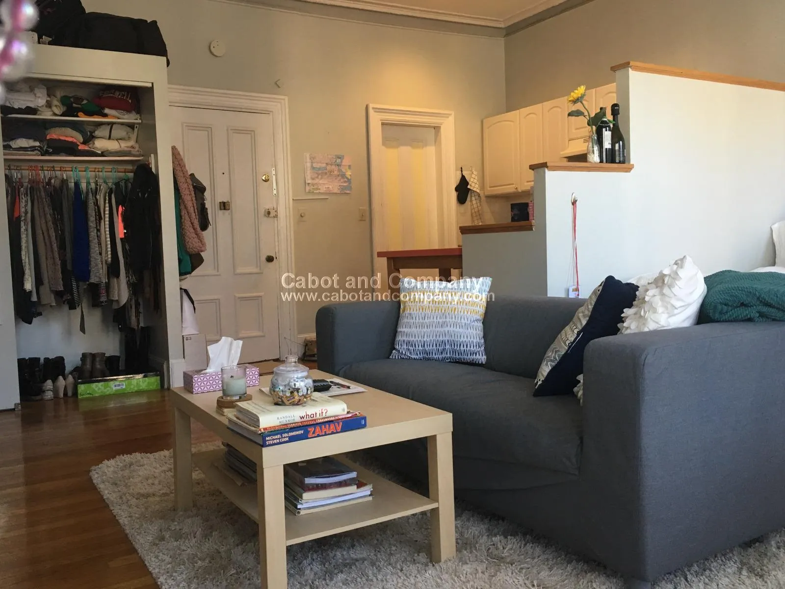 Studio bed, 1 bath apartment for rent at 558 Columbus Ave Unit 2F, South End — photo 5 of 7