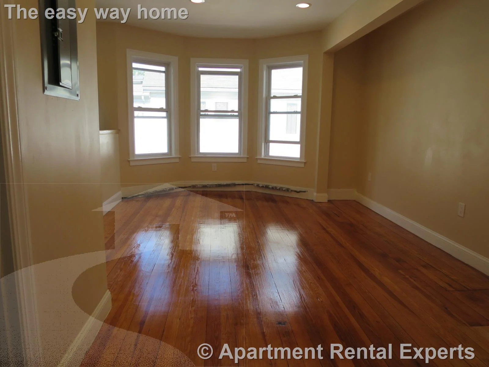 4 bed, 2 bath apartment for rent at 55A Marion St Unit 2, Tufts — photo 6 of 17