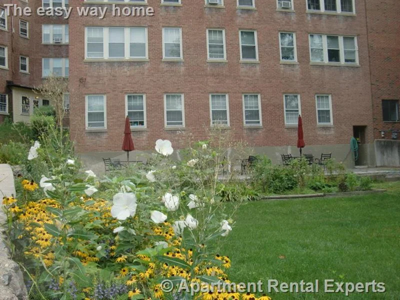2 bed, 1 bath apartment for rent at 56 Concord Ave Unit 25, Harvard Square — photo 9 of 10
