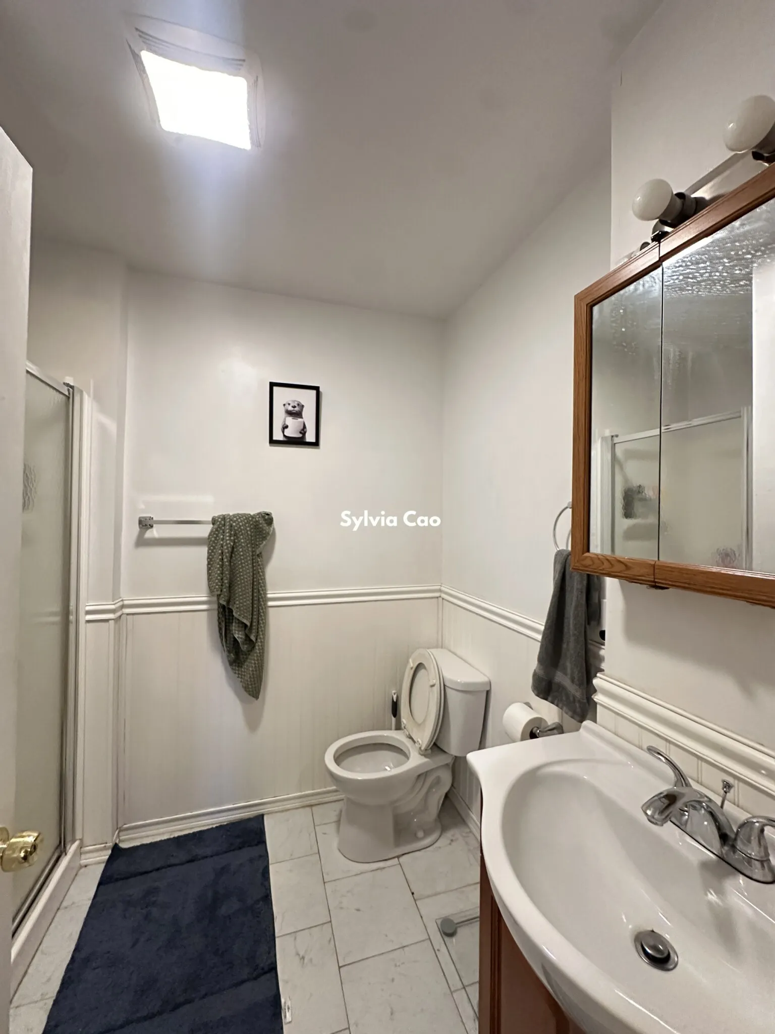 4 bed, 2 bath apartment for rent at 56 Egmont St Unit 3, North Brookline — photo 11 of 16