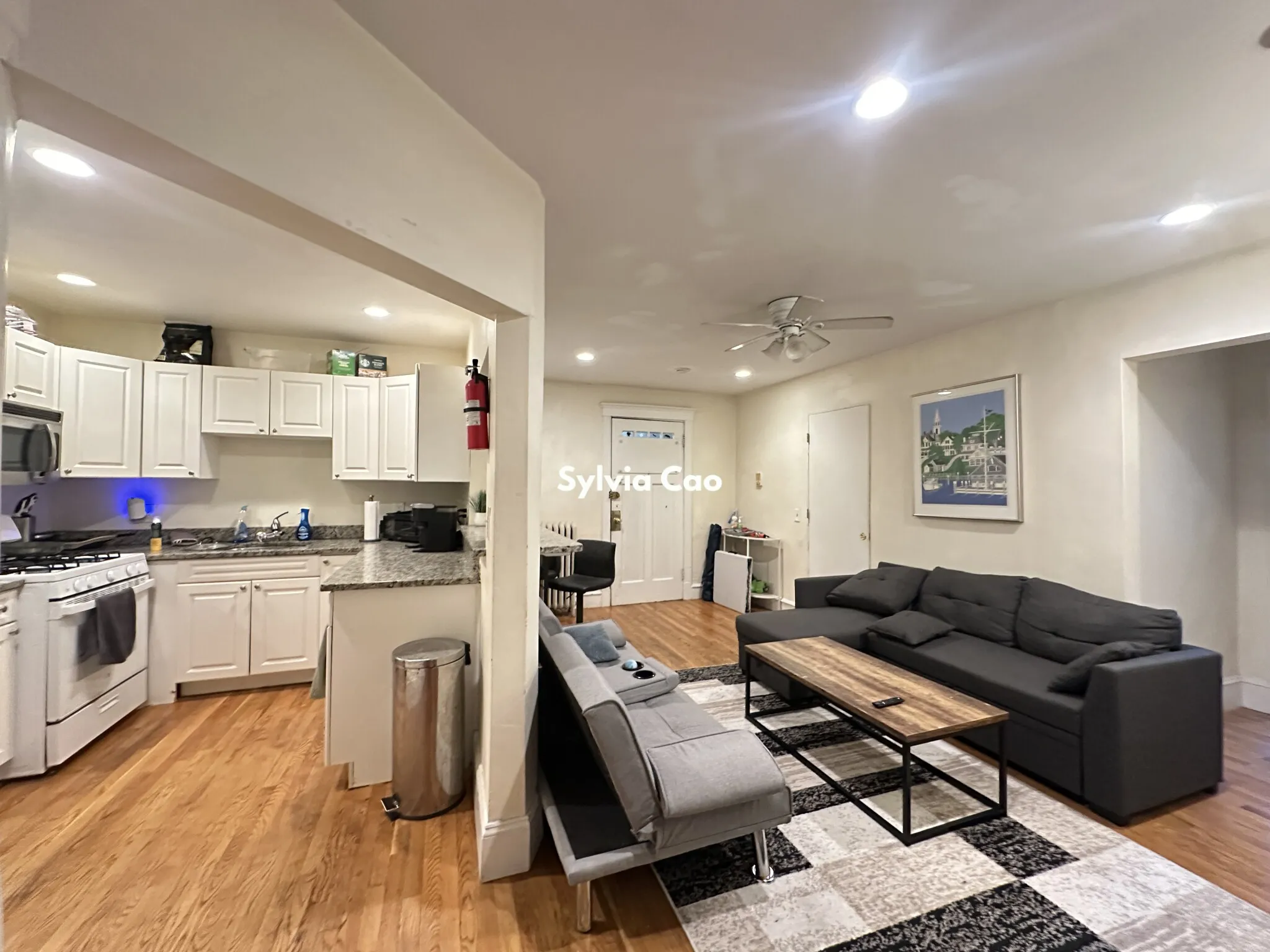 4 bed, 2 bath apartment for rent at 56 Egmont St Unit 3, North Brookline