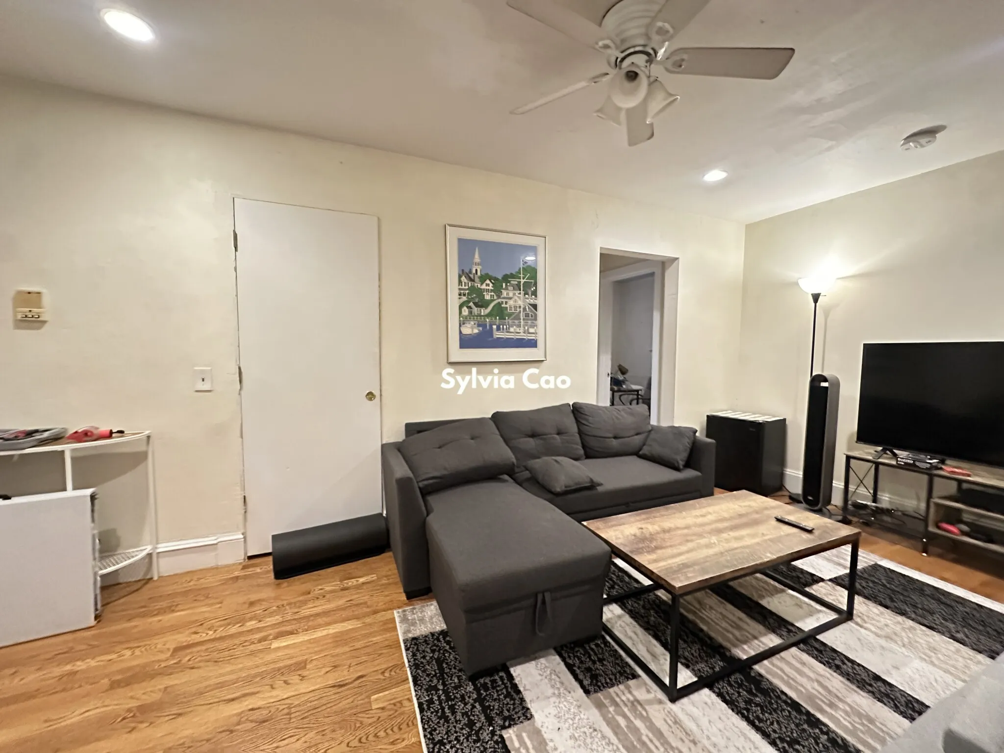 4 bed, 2 bath apartment for rent at 56 Egmont St Unit 3, North Brookline — photo 3 of 16