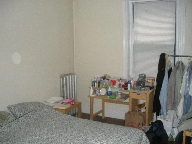 1 bed, 1 bath apartment for rent at 56 Gardner St Unit 6, Allston — photo 3 of 22