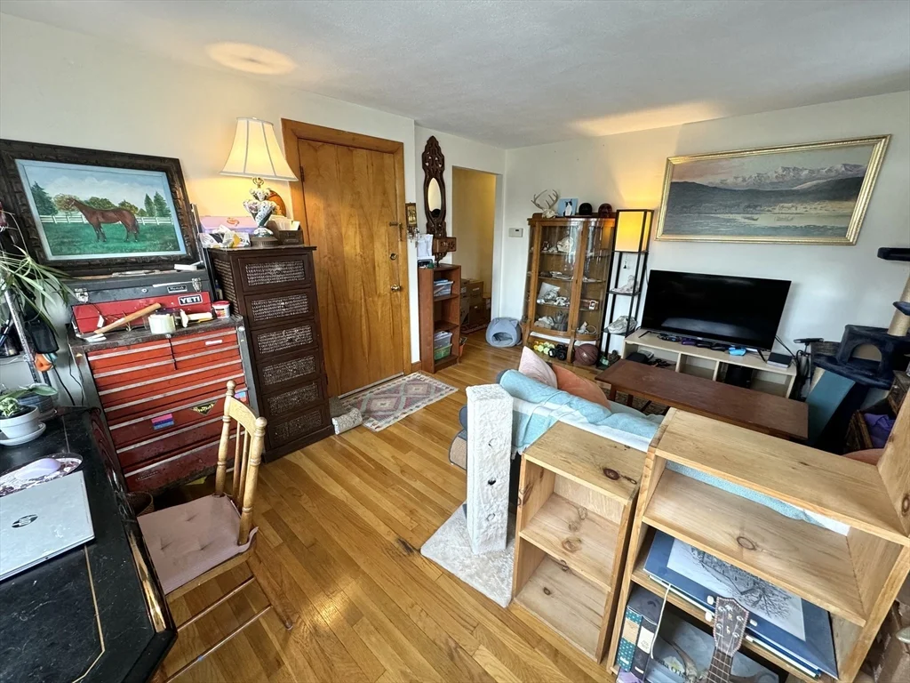 1 bed, 1 bath apartment for rent at 56 Nathan Rd Unit 1, Waltham — photo 4 of 15